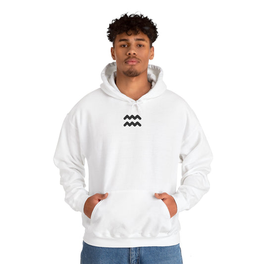 AQUARIUS Unisex Heavy Blend™ Hooded Sweatshirt