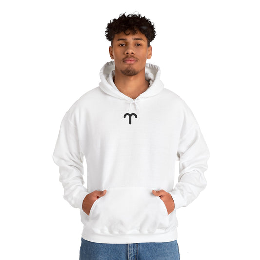 ARIES Unisex Heavy Blend™ Hooded Sweatshirt